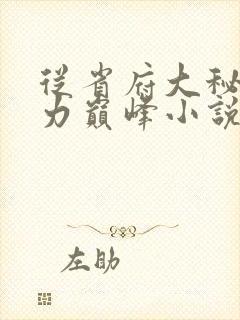 从省府大秘到权力巅峰小说下载