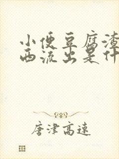 小便豆腐渣样东西流出是什么情况