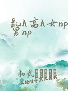 乱h高h女np男np