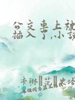 公交车上被多人插入了,小说