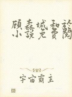 顾森城和于皎皎小说免费阅读