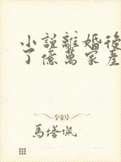 小说离婚后继承了亿万家产结局