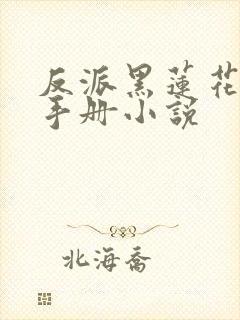 反派黑莲花攻略手册小说