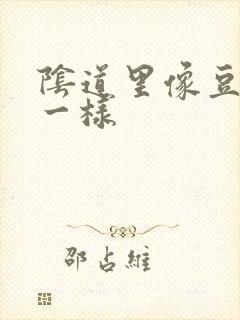 阴道里像豆腐渣一样