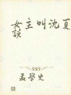 女主叫沈夏的小说