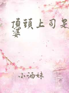 顶头上司是我老婆