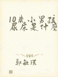 10岁小男孩还尿床是什么原因