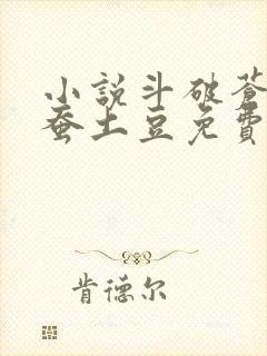 小说斗破苍穹天蚕土豆免费