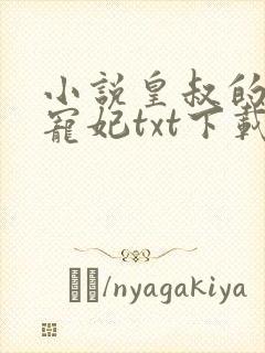 小说皇叔的第一宠妃txt下载