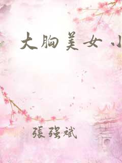 大胸美女 小说
