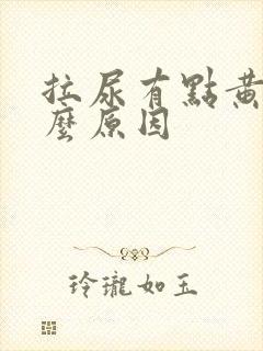 拉尿有点黄是什么原因