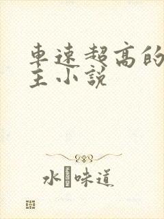 车速超高的双男主小说