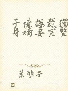 千亿总裁独宠替身娇妻完整版