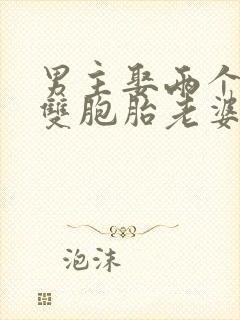 男主娶两个毛熊双胞胎老婆小说