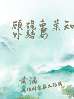 顾砚东叶知安番外结局