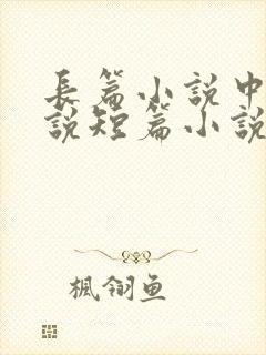 长篇小说中篇小说短篇小说如何区分