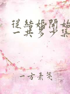 从结婚开始恋爱一共多少集