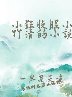 小狂收服小舞朱竹清的小说