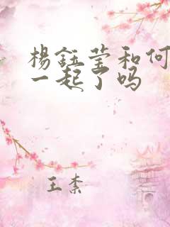 杨钰莹和何炅在一起了吗