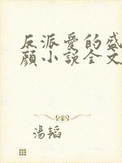 反派爱的盛世美颜小说全文免费阅读