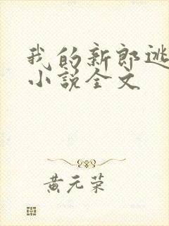 我的新郎逃婚了小说全文