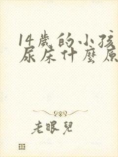 14岁的小孩还尿床什么原因