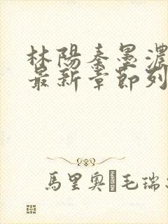 林阳秦墨浓小说最新章节列表