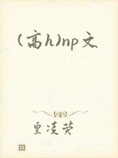 (高h)np文