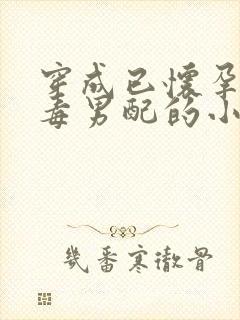 穿成已怀孕的恶毒男配的小说