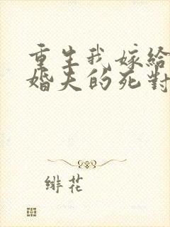 重生我嫁给了未婚夫的死对头