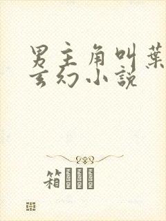 男主角叫叶青的玄幻小说