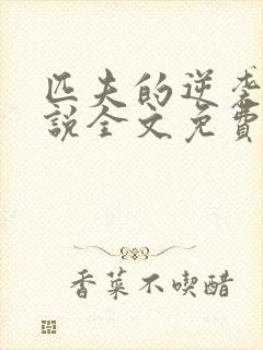 匹夫的逆袭 小说全文免费阅读