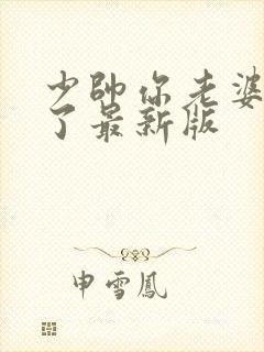 少帅你老婆又跑了最新版