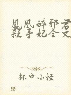 凤凰醉邪君盛宠杀手妃全文免费阅读小说