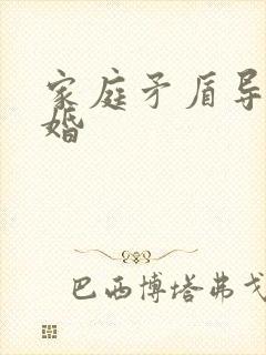 家庭矛盾导致离婚