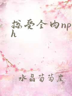 总受全肉np高h