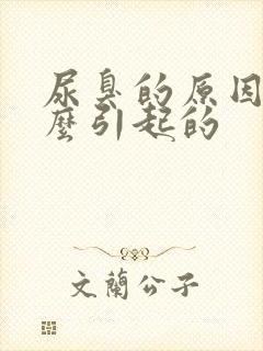 尿臭的原因是什么引起的