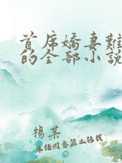 首席娇妻难搞定的全部小说