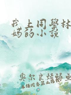 我上同学林虎妈妈的小说
