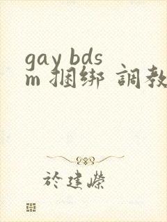 gay bdsm 捆绑 调教 男奴