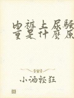 内裤上尿骚味很重是什么原因