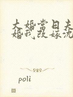 大婚当日夫君逃婚我改嫁沈淮之