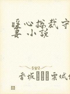 暖心总裁守护甜妻 小说