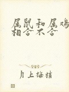 属鼠和属鸡的属相合不合