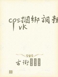 cos捆绑调教丨vk