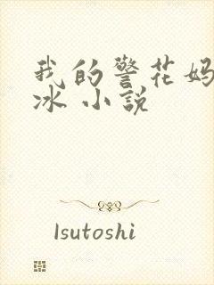 我的警花妈妈杨冰 小说