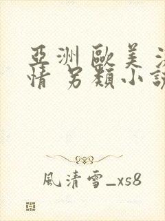 亚洲 欧美 激情 另类小说