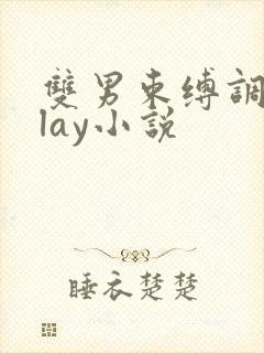 双男束缚调教play小说