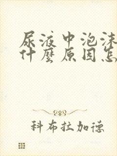 尿液中泡沫多是什么原因怎么治