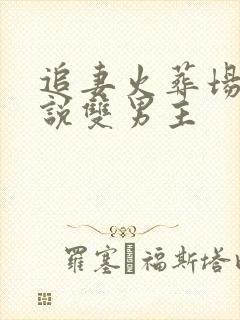 追妻火葬场的小说双男主